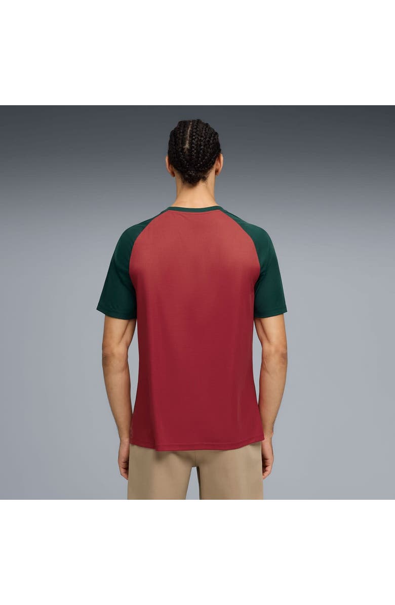 PUMA Men's Puma Crimson Morocco National Team Pre-Match Jersey, Alternate, color, Crimson