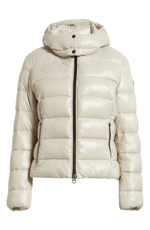 Save The Duck Cosmary Water Resistant Insulated Puffer Jacket In White