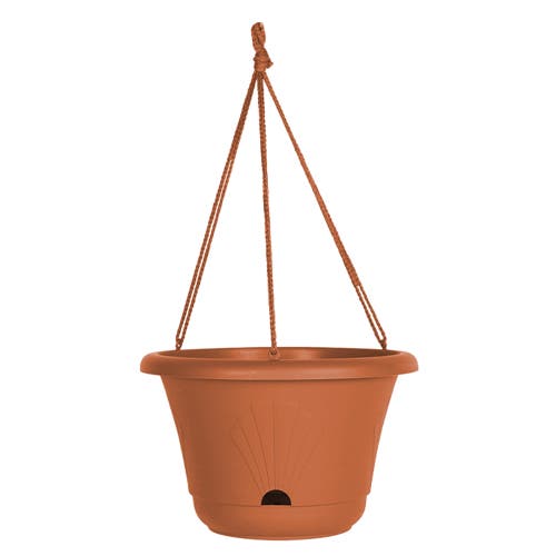 Bloem 13 Inch Lucca Self Watering Hanging Basket In Brown
