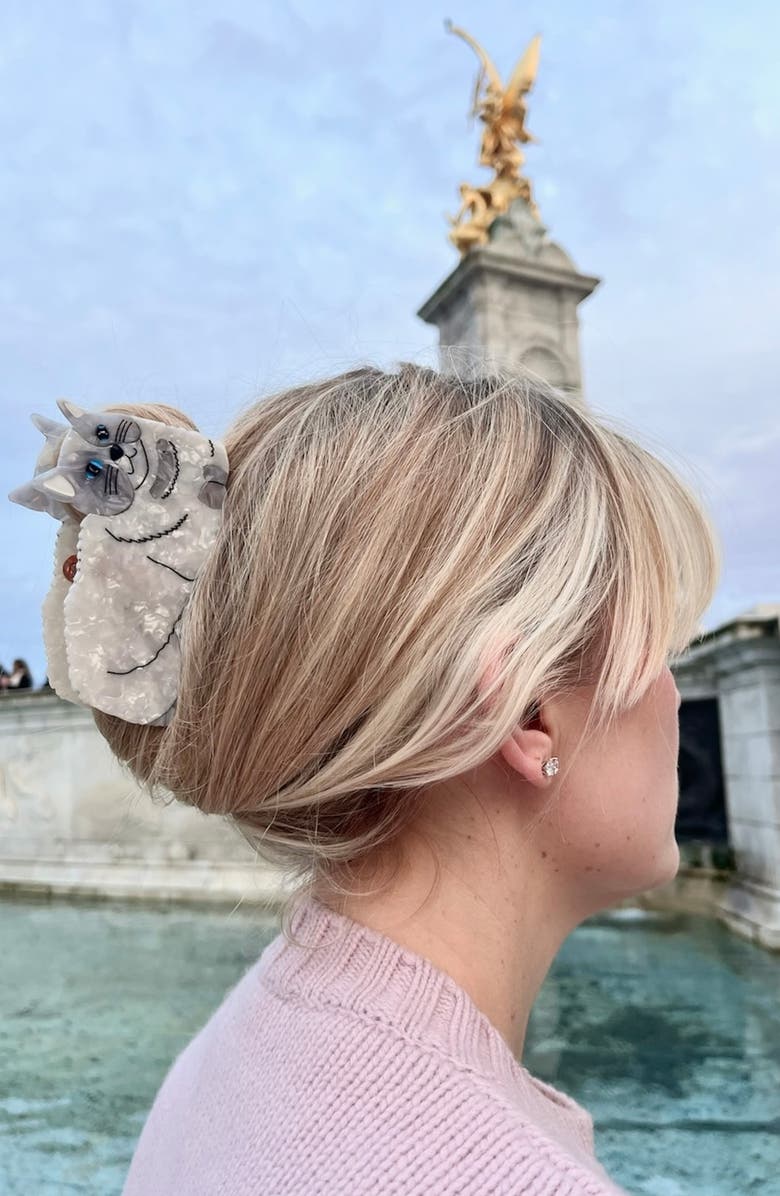 Solar Eclipse Ragdoll Cat Claw Hair Clip, Alternate, color, Grey