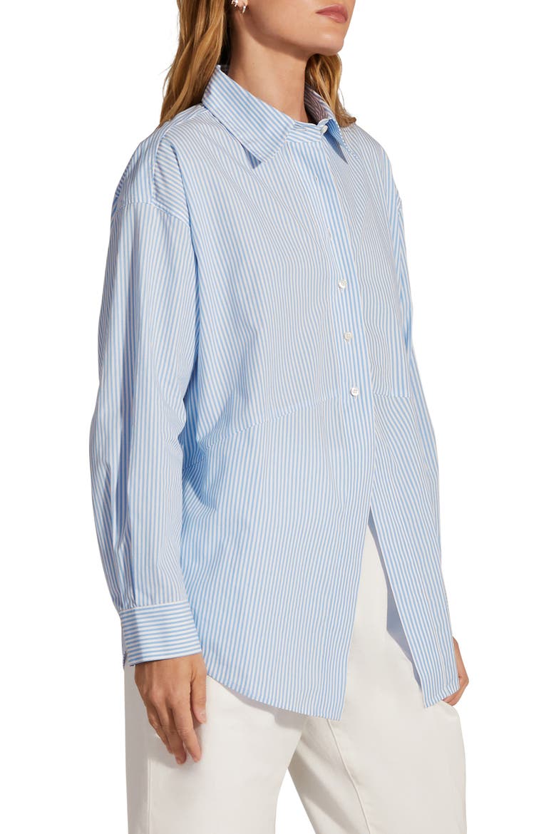 The Ex-Boyfriend Stripe Cotton Shirt, Alternate, color, PROVENCE STRIPE