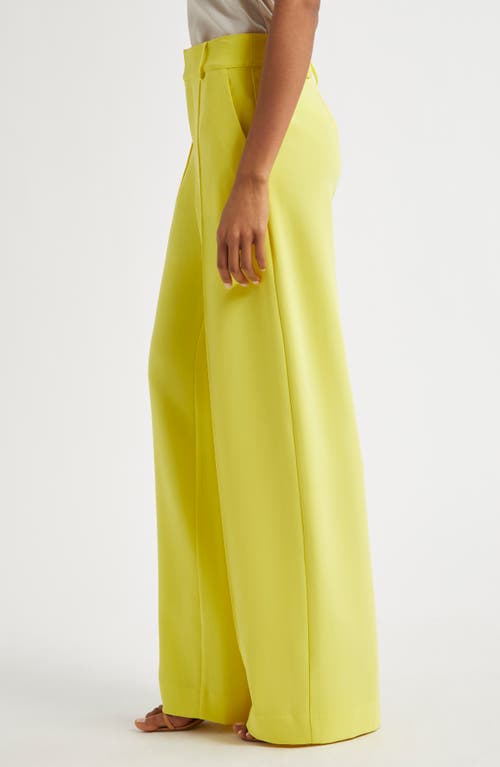 Shop Cinq À Sept Amanda Wide Leg Pants In Starfruit
