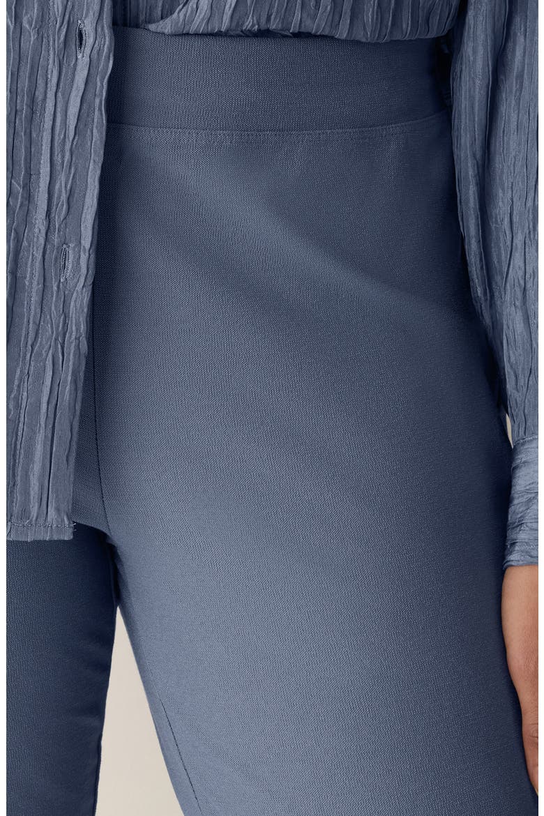 Slim Ankle Pants, Alternate, color, FLINT
