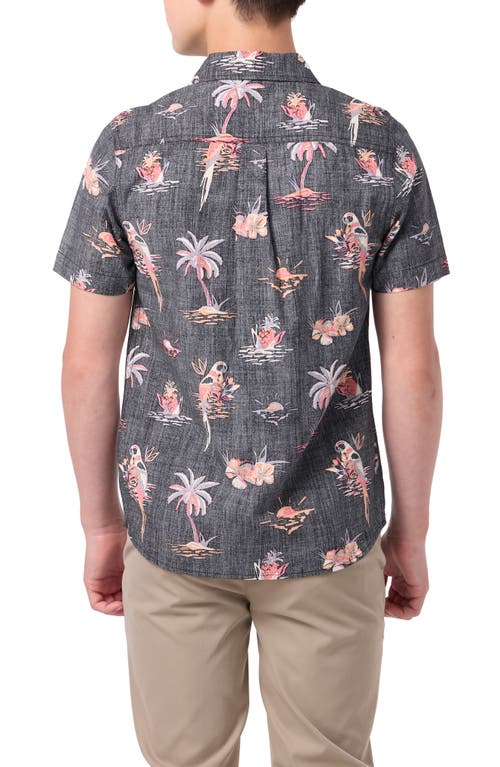 O'neill Kids' Oasis Palm Tree Print Short Sleeve Button-up Shirt In Black