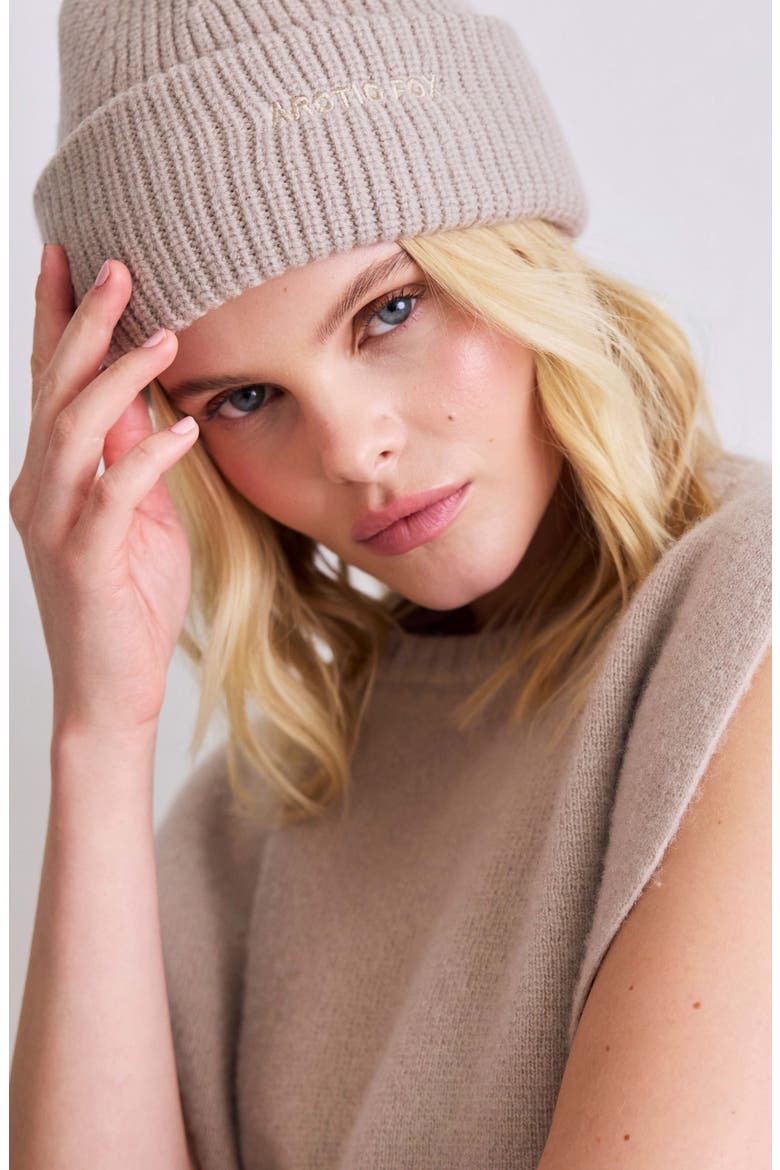The Embroidered Merino Wool Beanie, Alternate, color, SOFT TAUPE