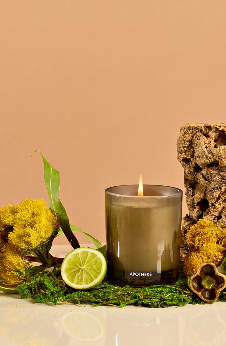 APOTHEKE White Vetiver Petite Scented Candle, Alternate, color, Grey