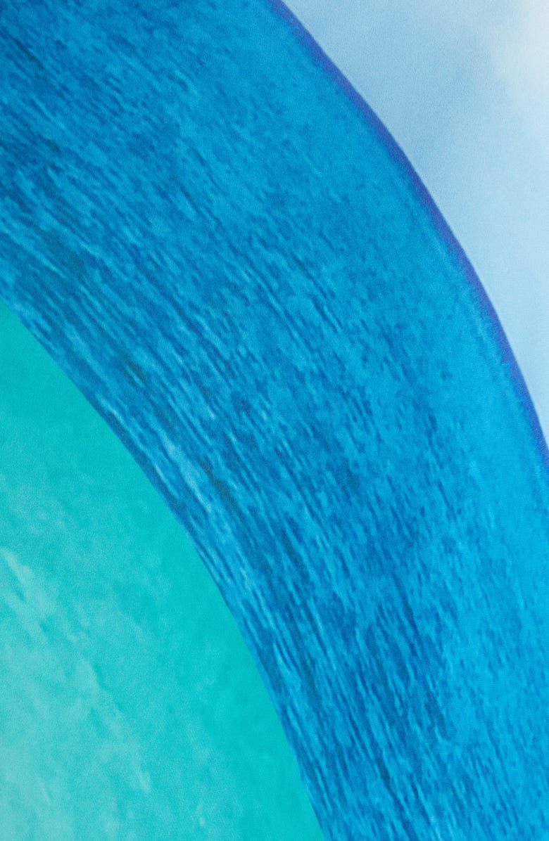 rag & bone Wren Stripe Bias Cut Skirt, Alternate, color, 