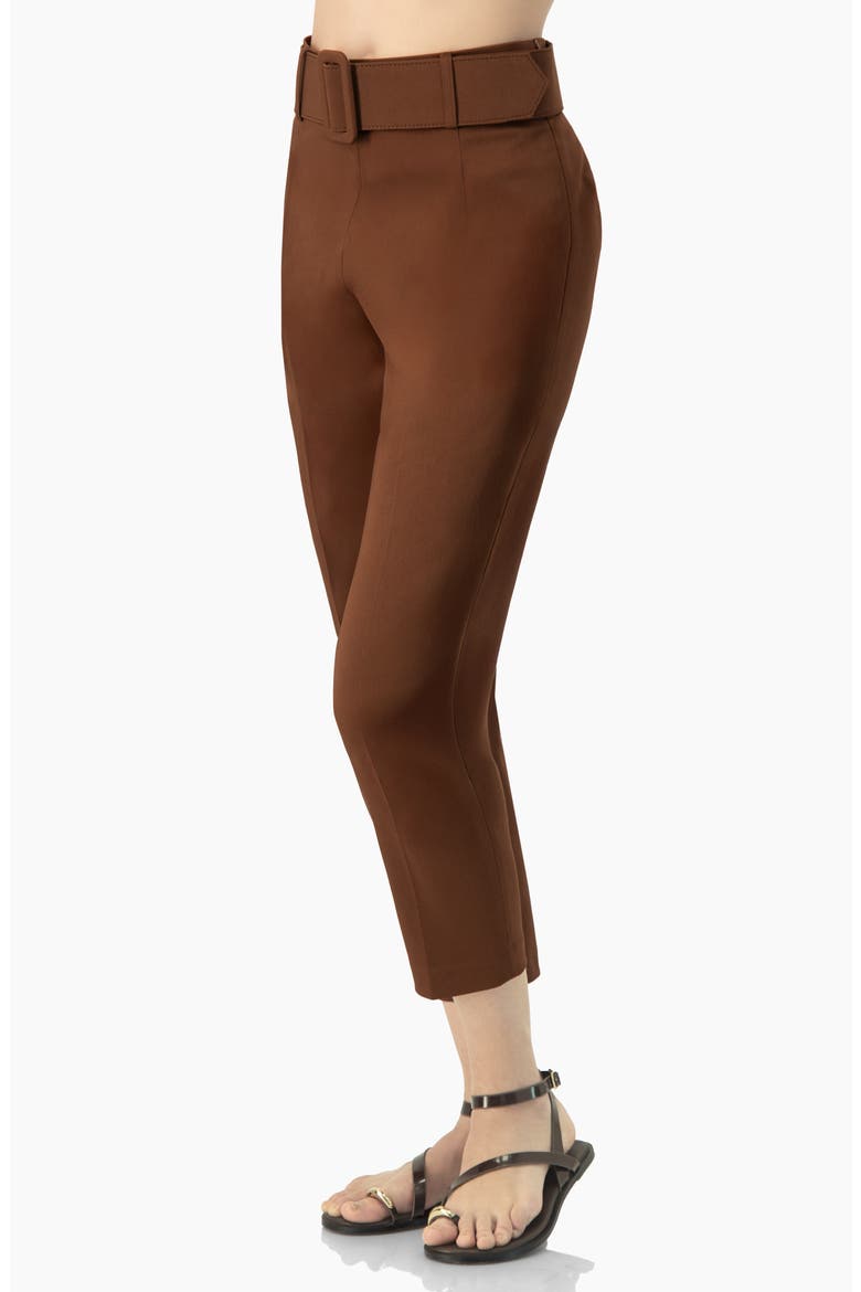 Straight-Leg Gabardine Pants with Belt, Alternate, color, Brown