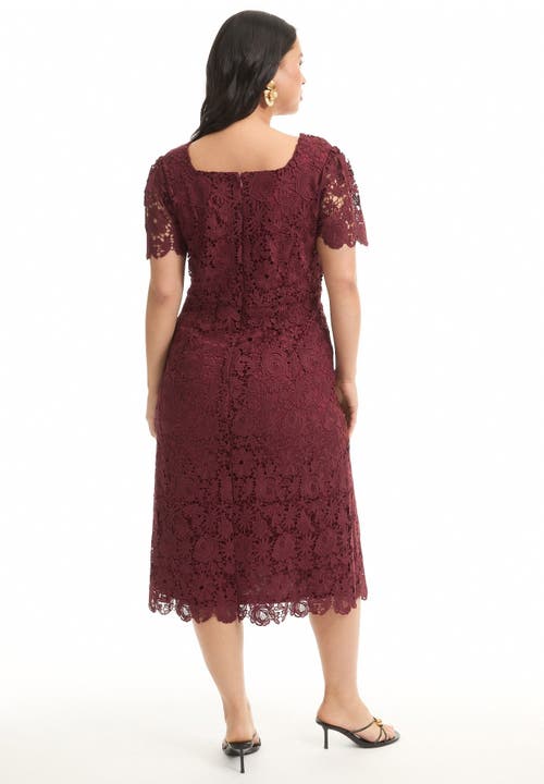 June + Vie Square-neck Lace Dress In Red