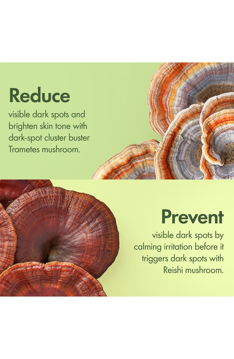 Origins Mega-Mushroom Dark Spot Brightening Face Serum, Alternate, color, 