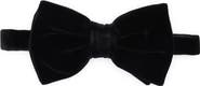 BOSS Cotton Velvet Bow Tie