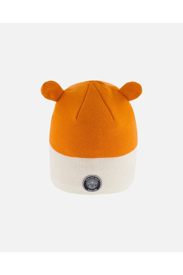 Boy's Knit Hat Orange Fox Face, Alternate, color, Orange Fox