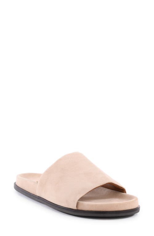 Seychelles Farrah Slide Sandal In Beige