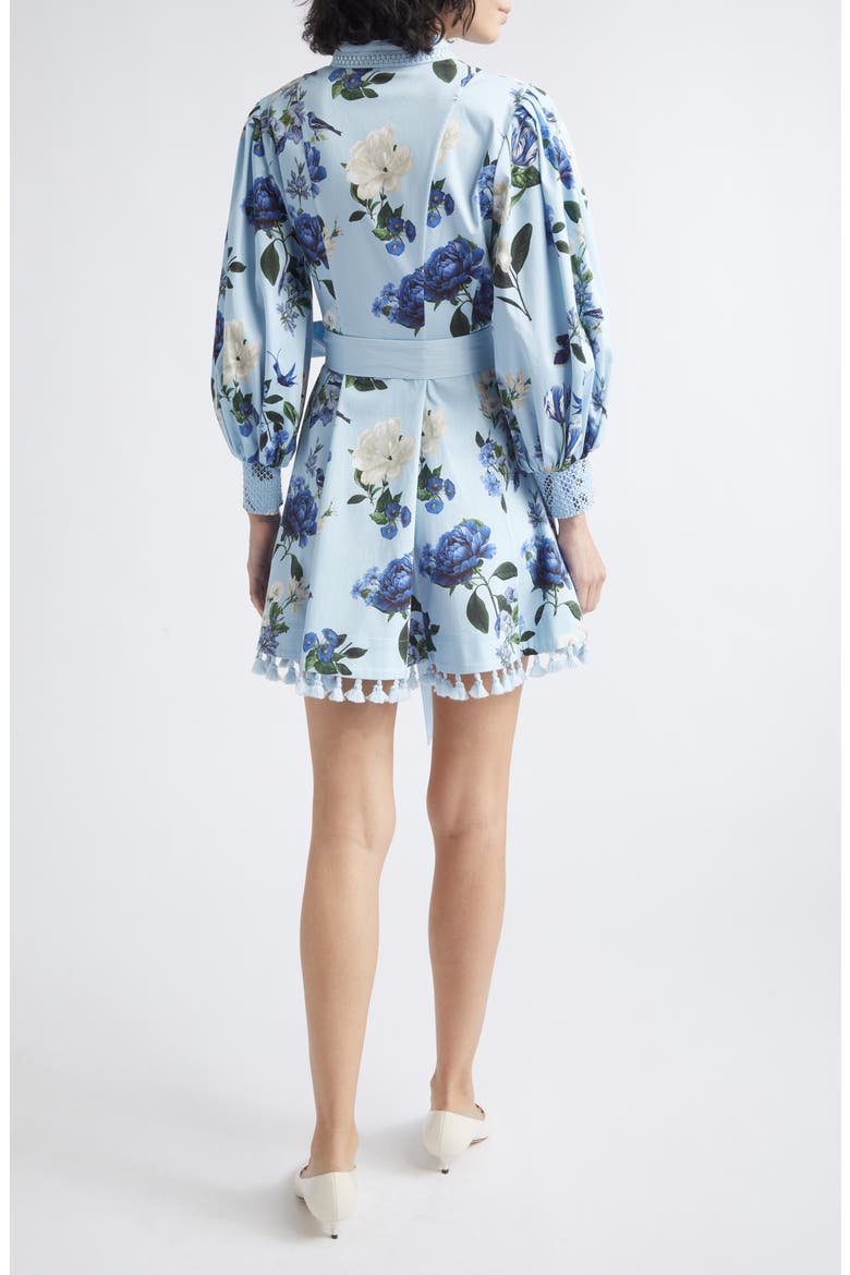 Lucy Floral Long Sleeve Minidress, Alternate, color, FLY AWAY