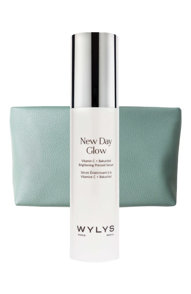 WYLYS New Day Glow & Sage Verte Makeup Bag, Main, color, NO COLOR