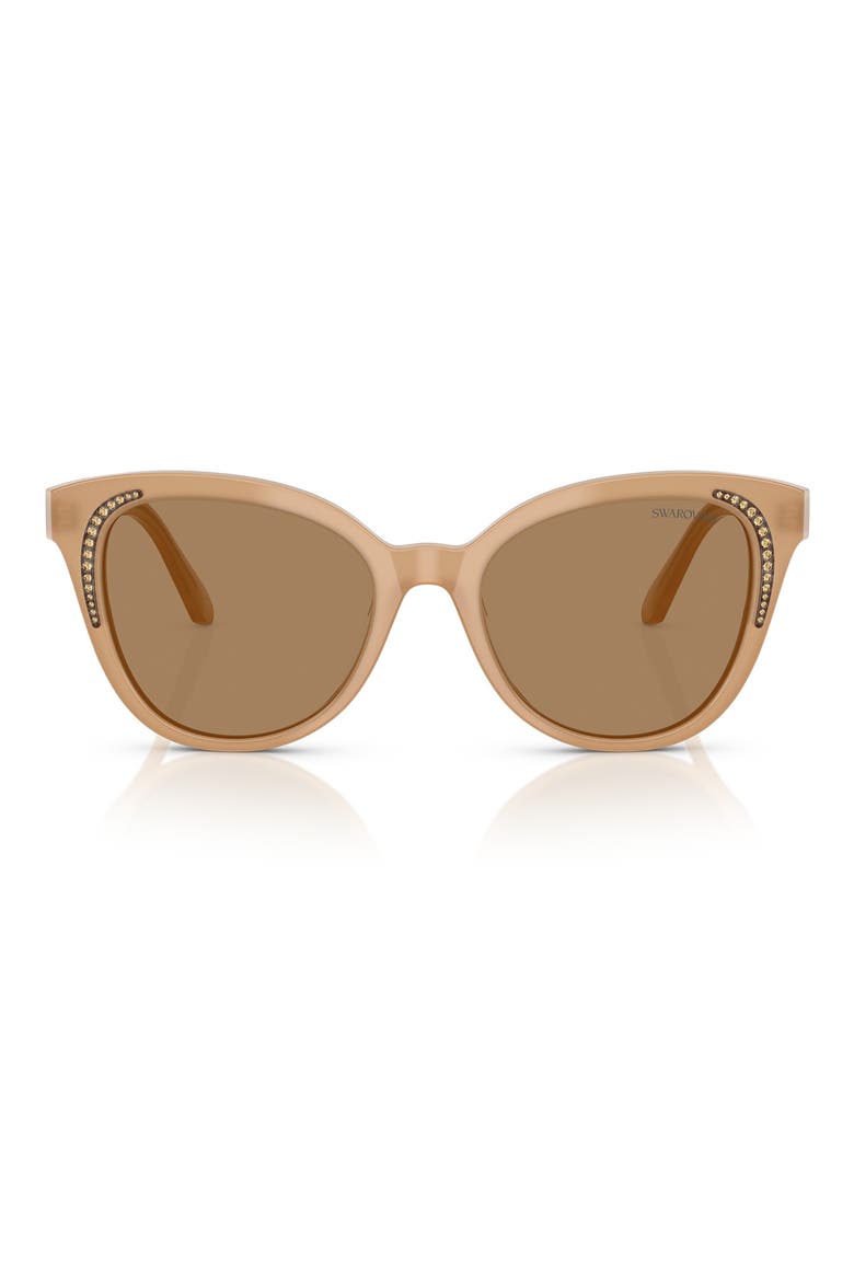 53mm Butterfly Sunglasses, Main, color, BROWN WHITE