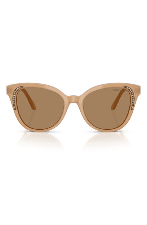 Swarovski 53mm Butterfly Sunglasses in Brown White 