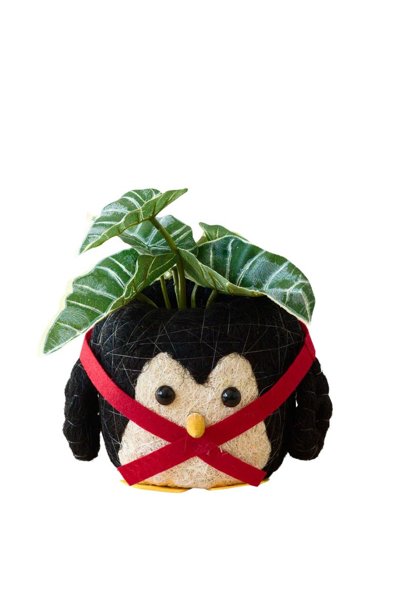 Winter Animal Coco Coir Planters, Main, color, Black