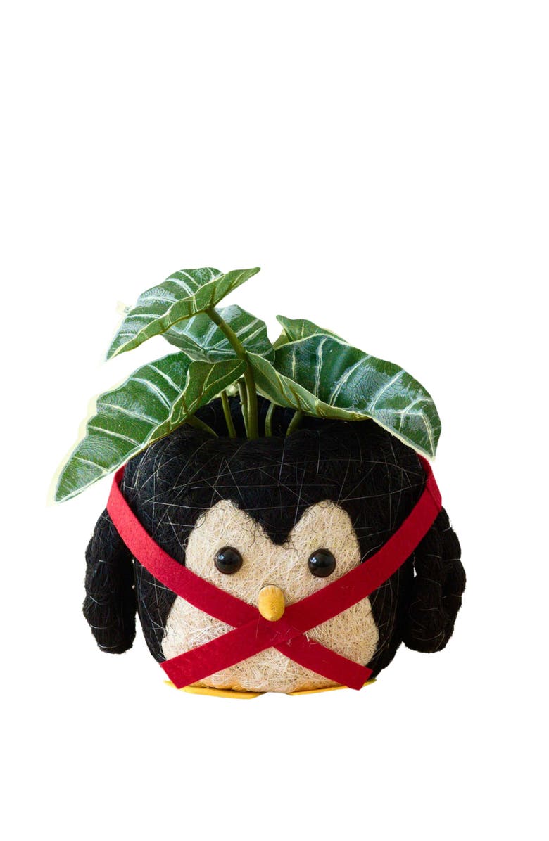 LIKHA Winter Animal Coco Coir Planters, Main, color, Black