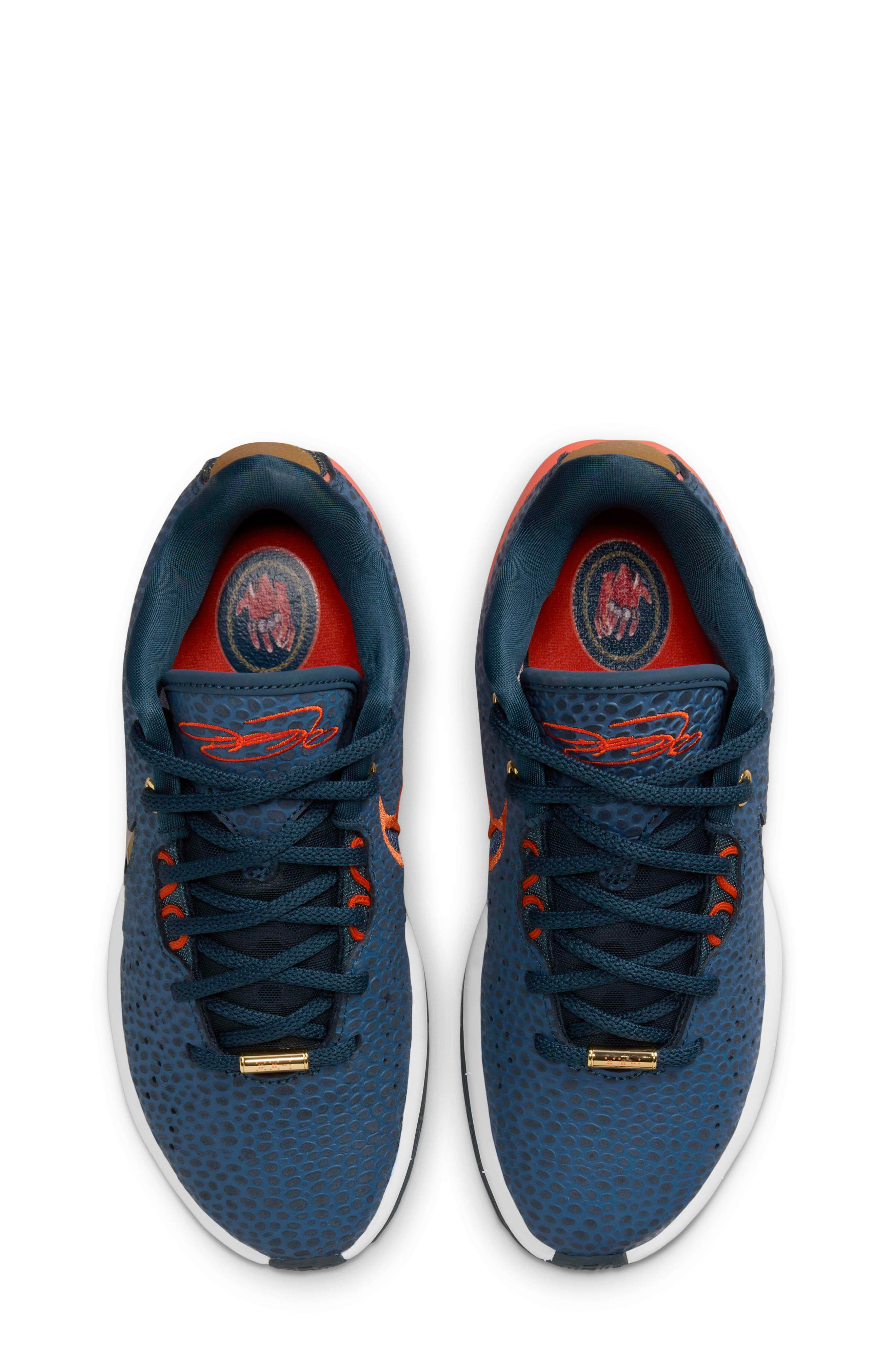 Nike Kids' LeBron XXI SE Basketball Shoe, Alternate, color, 