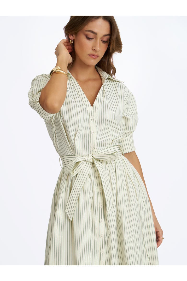Danica Poplin Striped Shirt Midi Dress, Alternate, color, Green