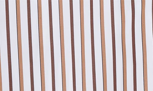 Bottega Veneta Bold Stripe Cotton Poplin Button-up Shirt In Multi