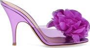 Gianvito Rossi Igea Mules