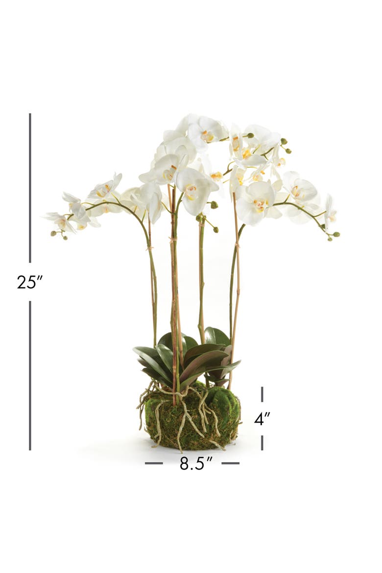 Phalaenopsis Orchid Faux (Fake) Bowl Drop-In 25", Alternate, color, White
