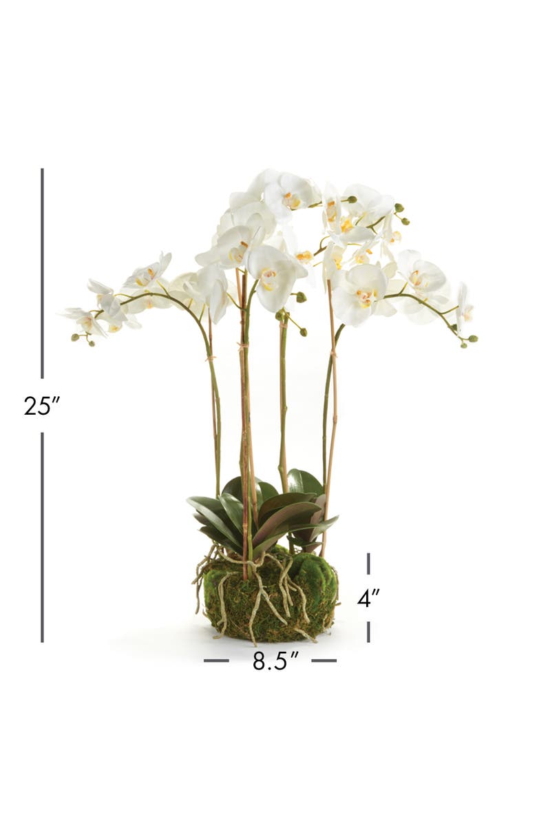 Napa Home & Garden Phalaenopsis Orchid Faux (Fake) Bowl Drop-In 25", Alternate, color, 