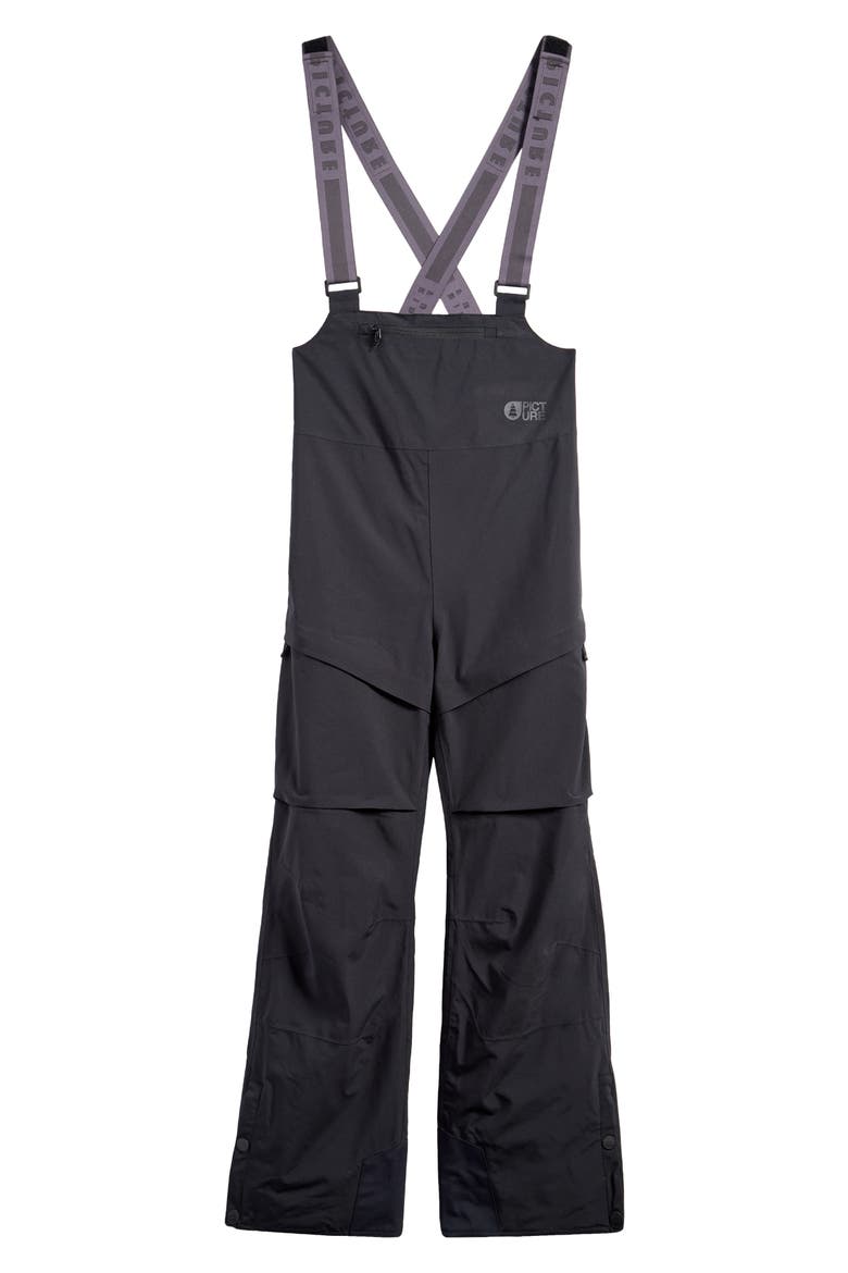 Elwy Waterproof Insulated Snow Bib, Alternate, color, BLACK