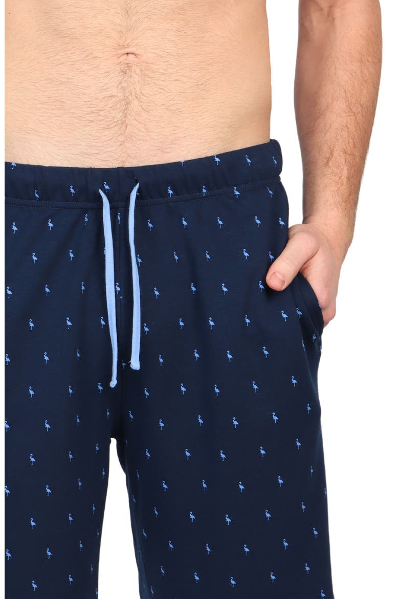 Byrd Print French Terry Shorts, Alternate, color, NAVY