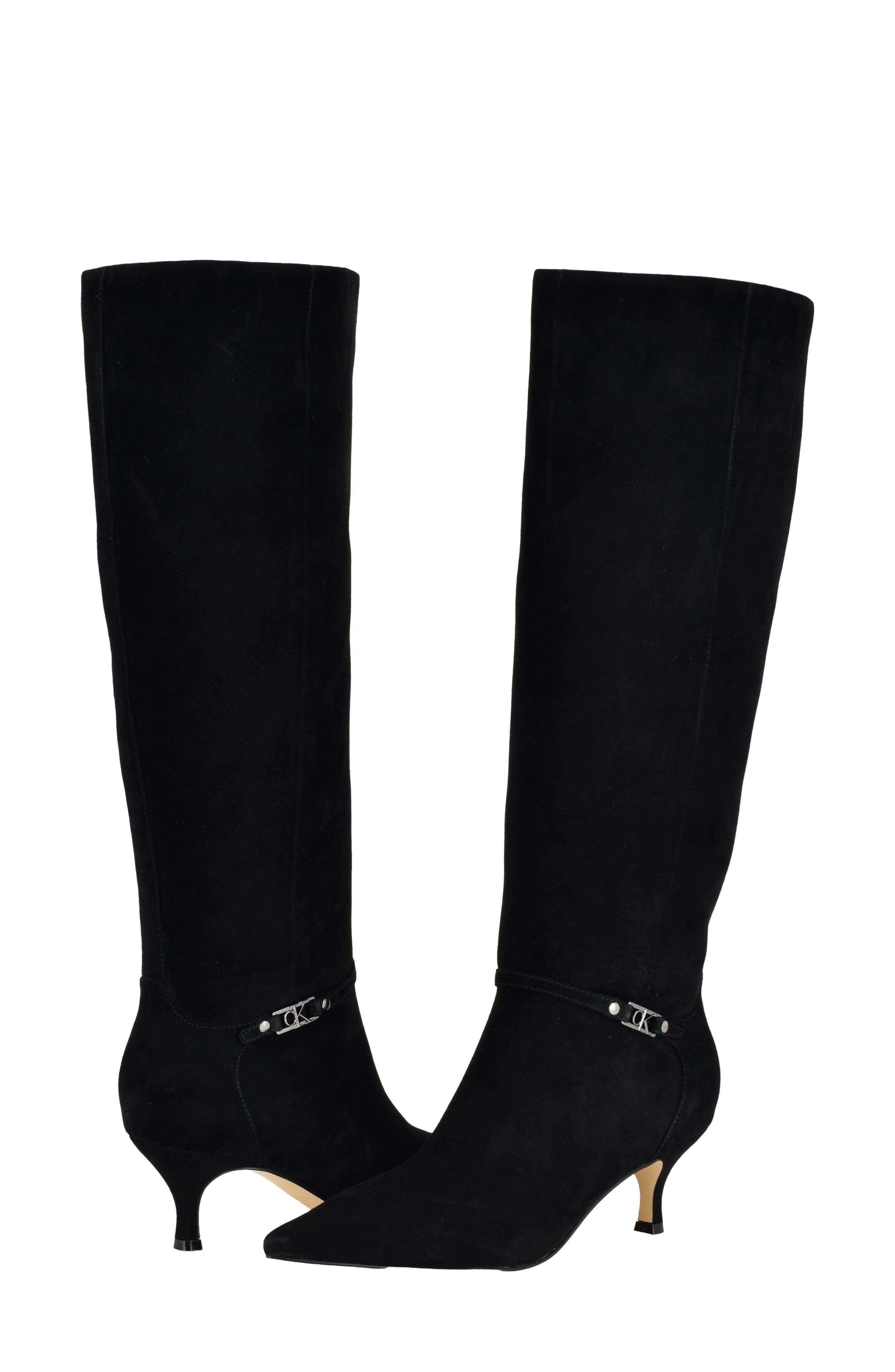 Serray Pointed Toe Knee High Boot, Alternate, color, BLACK
