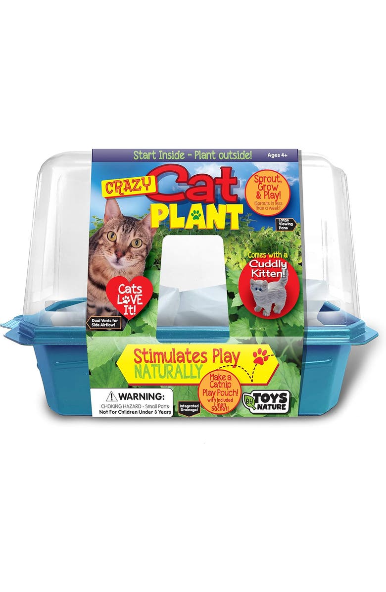 Toys By Nature Miniature Worlds Organic Catnip Windowsill Terrarium Starter Kit, Complete Supplies and Easy-to-Grow Indoor Plants, Main, color, NO COLOR