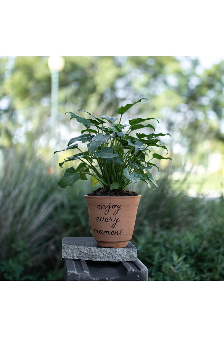 "Enjoy Every Moment" Cursive Terracotta Planter Pot 5.25", Alternate, color, Brown