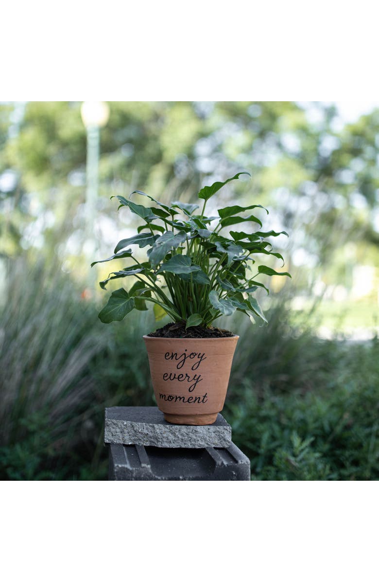 Foreside Home and Garden "Enjoy Every Moment" Multi Terracotta Planter, Alternate, color, Brown
