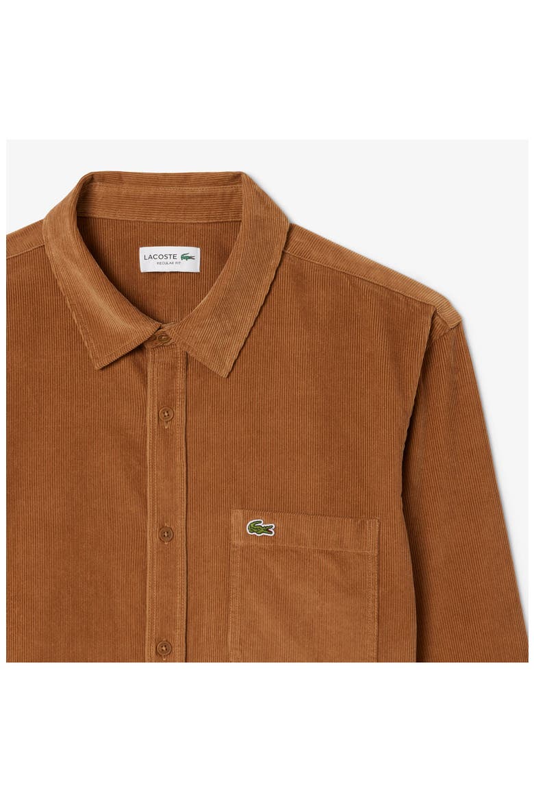Regular Fit Corduroy Button-Up Shirt, Alternate, color, DATE BROWN