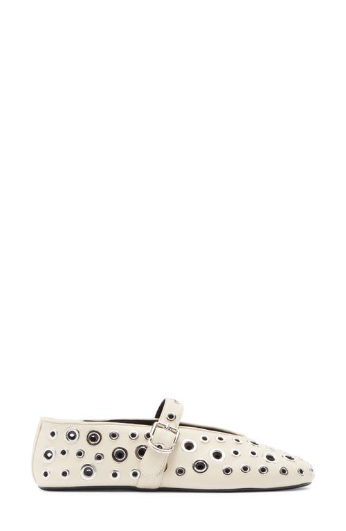 Steve Madden Ansley Ballet Flat In Bone