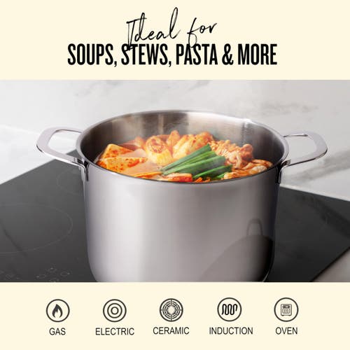 Alva Maestro Stainless Steel Pot Cookware Set In Silver