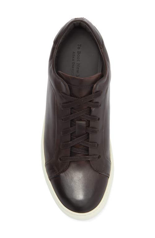 To Boot New York Mesa Low Top Sneaker In Brown