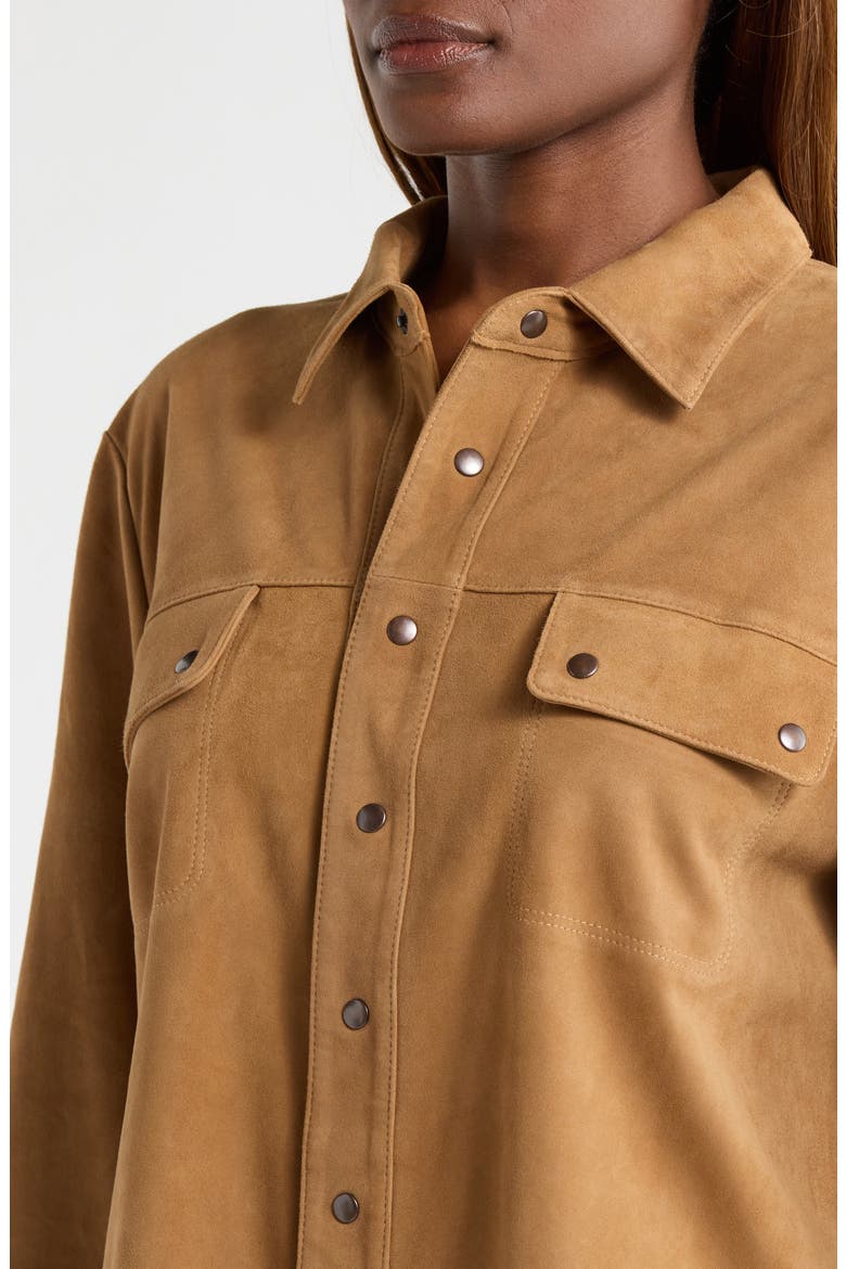 The Traveler Suede Jacket, Alternate, color, GOLDEN BROWN