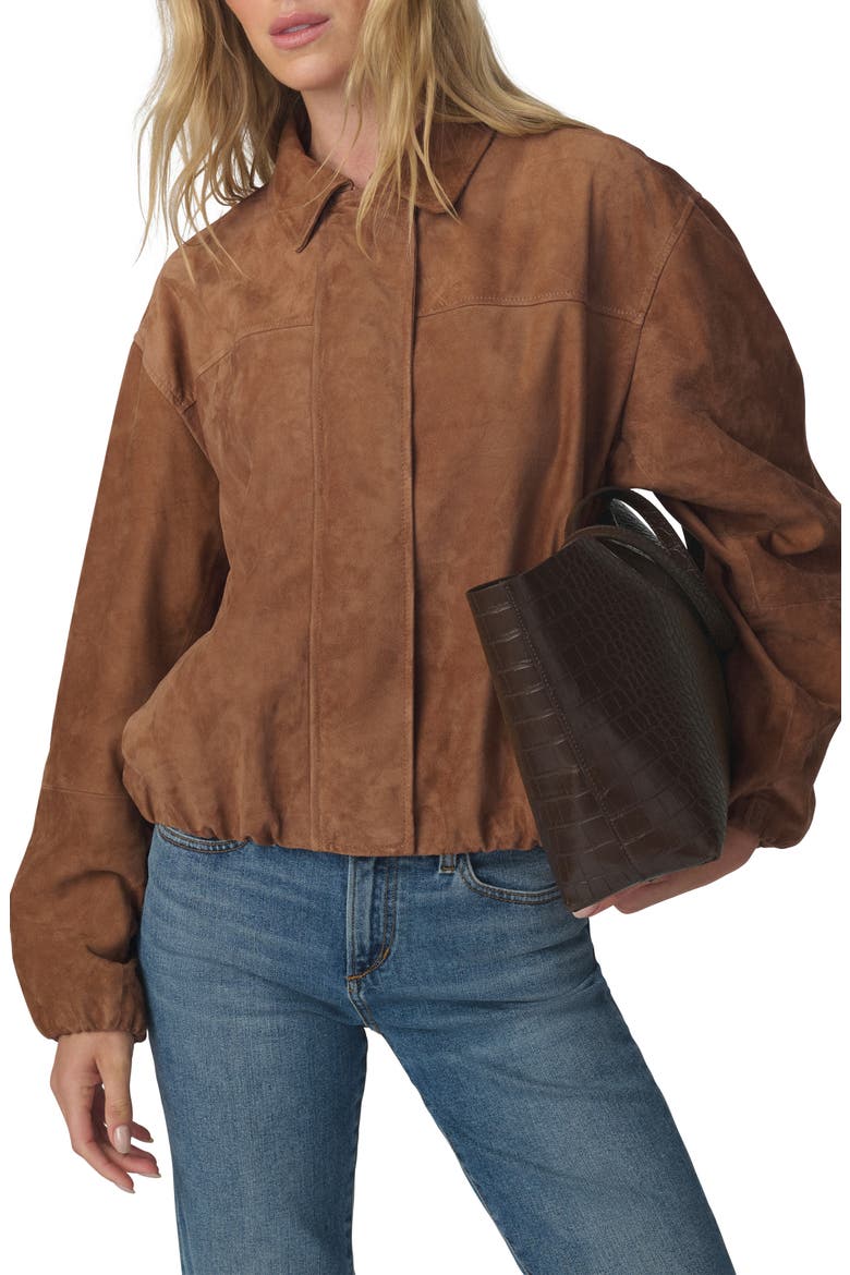 Bella Suede Bomber Jacket, Alternate, color, NUTMEG