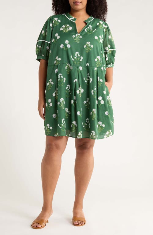 SUGARLIPS Kestrel Floral Fawna Cotton Shift Dress in Cream-Green 