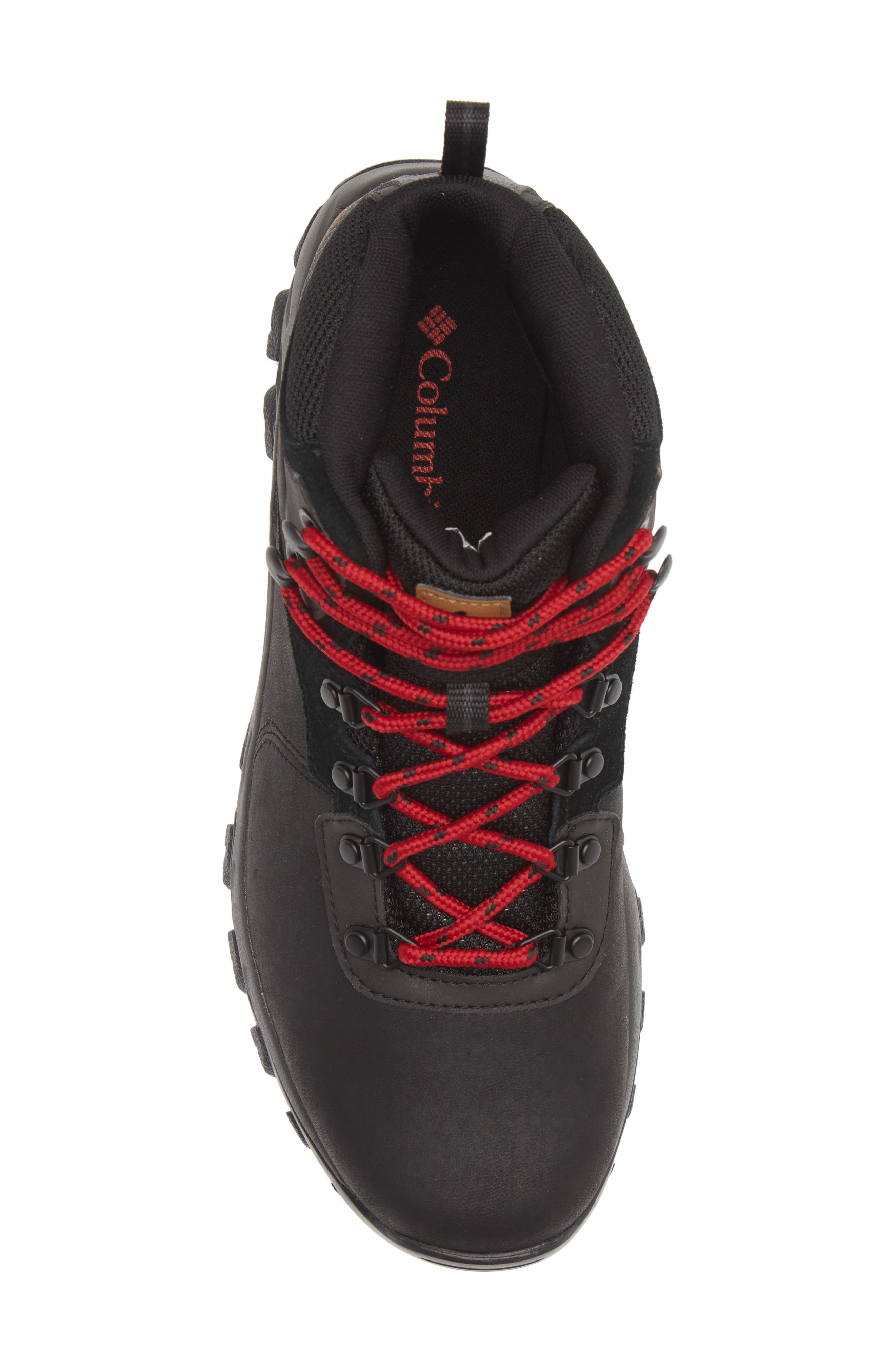 Columbia Newton Ridge<sup>™</sup> Plus II Waterproof Hiking Boot, Alternate, color, 