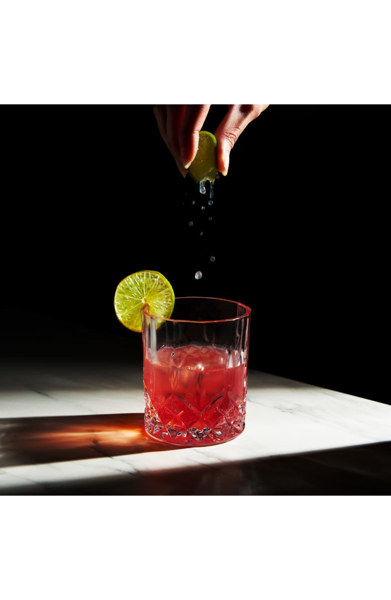 Viski Admiral Crystal Rocks Glasses, Alternate, color, Clear