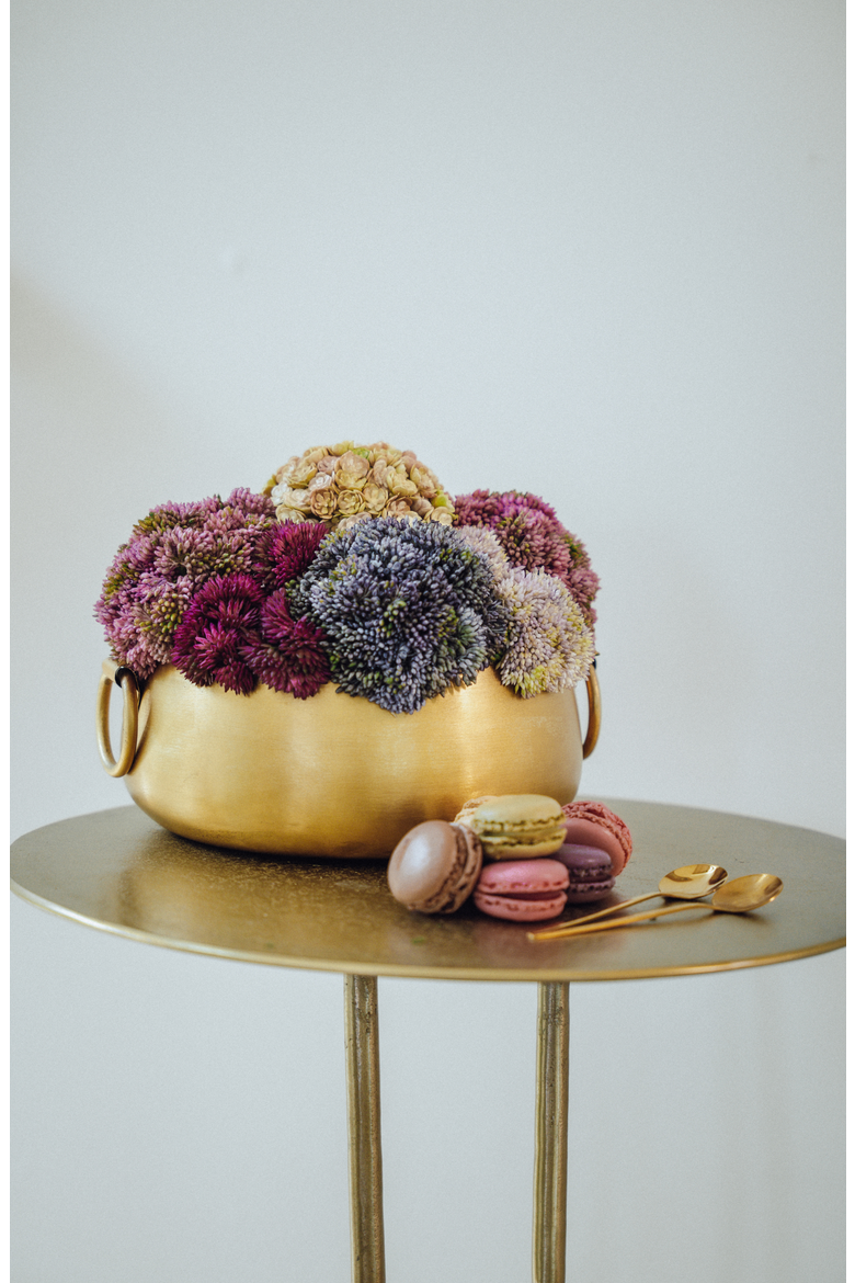 Beatrix Gold Sedum Arrangement, Alternate, color, Multi-Color