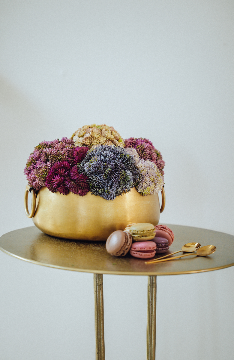 CocoBella Beatrix Gold Sedum Arrangement, Alternate, color, Multi-Color