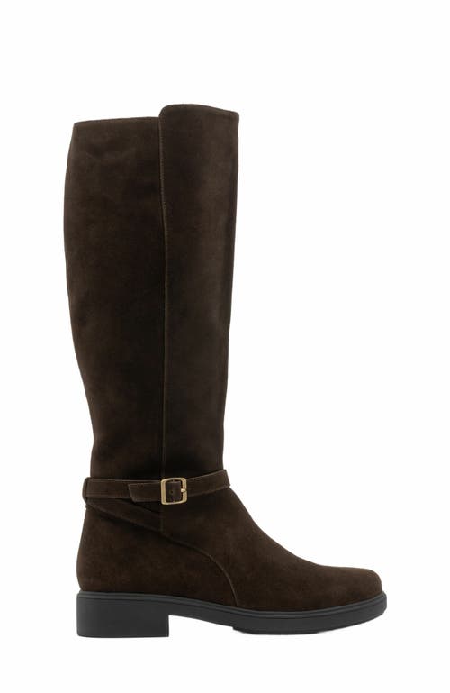 Abeo Compass Tall Boot In Brown