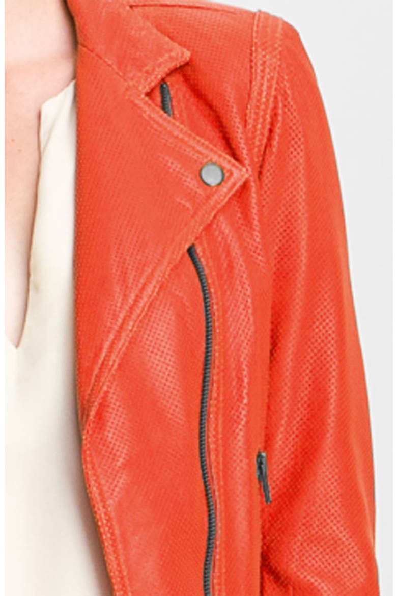 Truth and Pride Perforated Leather Biker Jacket, Alternate, color, ORANGE