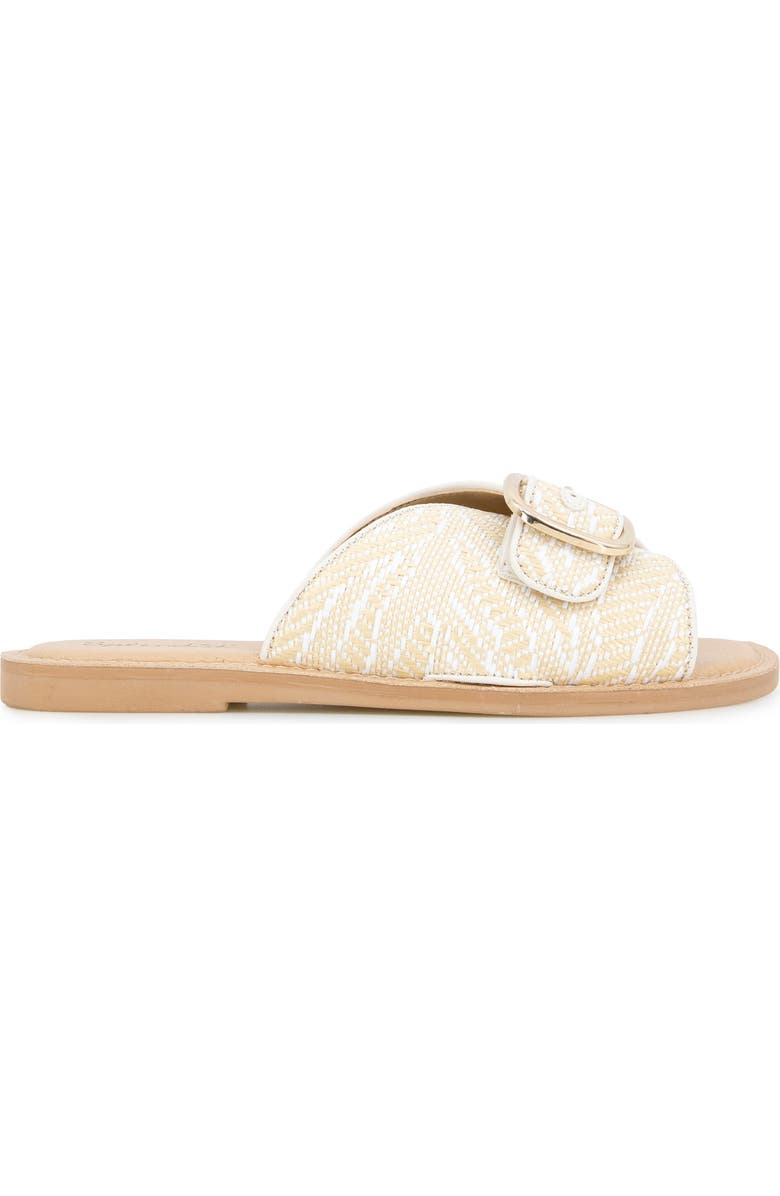 Splendid Sandy Raffia Slide Sandal, Alternate, color, White Raffia