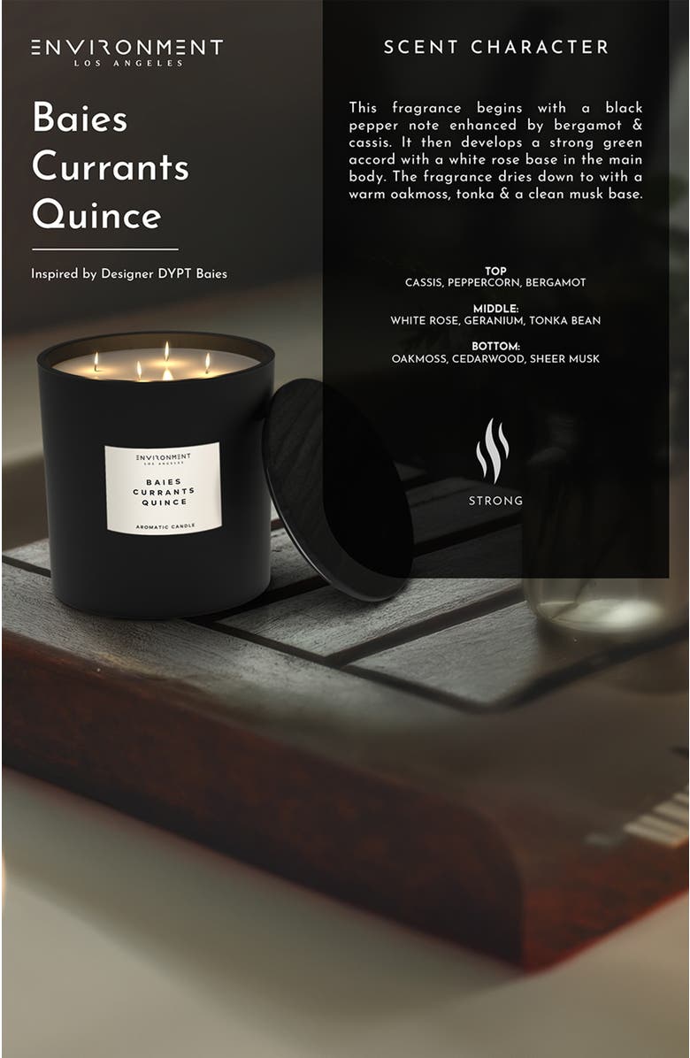 ENVIRONMENT Inspired by Designer Perfume Candle, Alternate, color, Inspired By Diptyque Baies